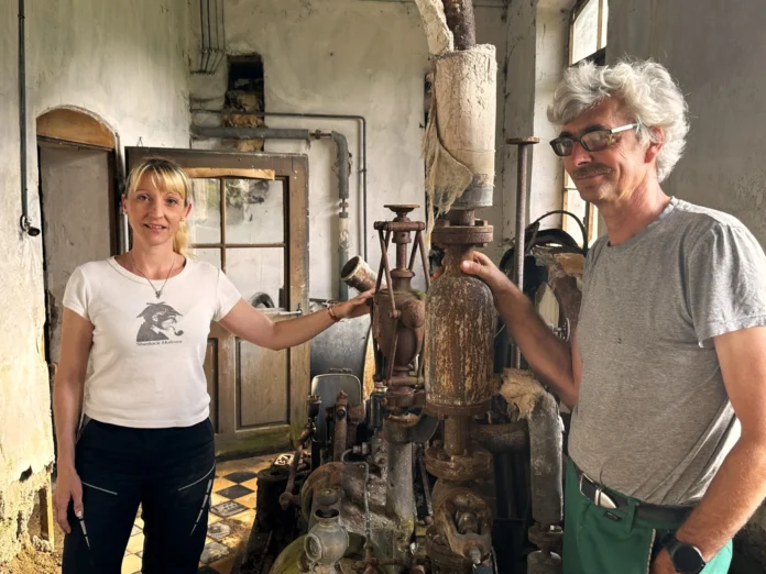 ralf dammasch todesursache bild